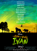 苍穹修真录的副本挑战：如何轻松通关